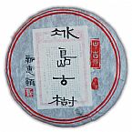 2013冰島古樹