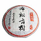 2011年布朗古樹